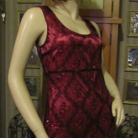 VotreNom Garnet Silk Beaded Lace Dress sz 1 (sz 4) - Picture 4 of 8